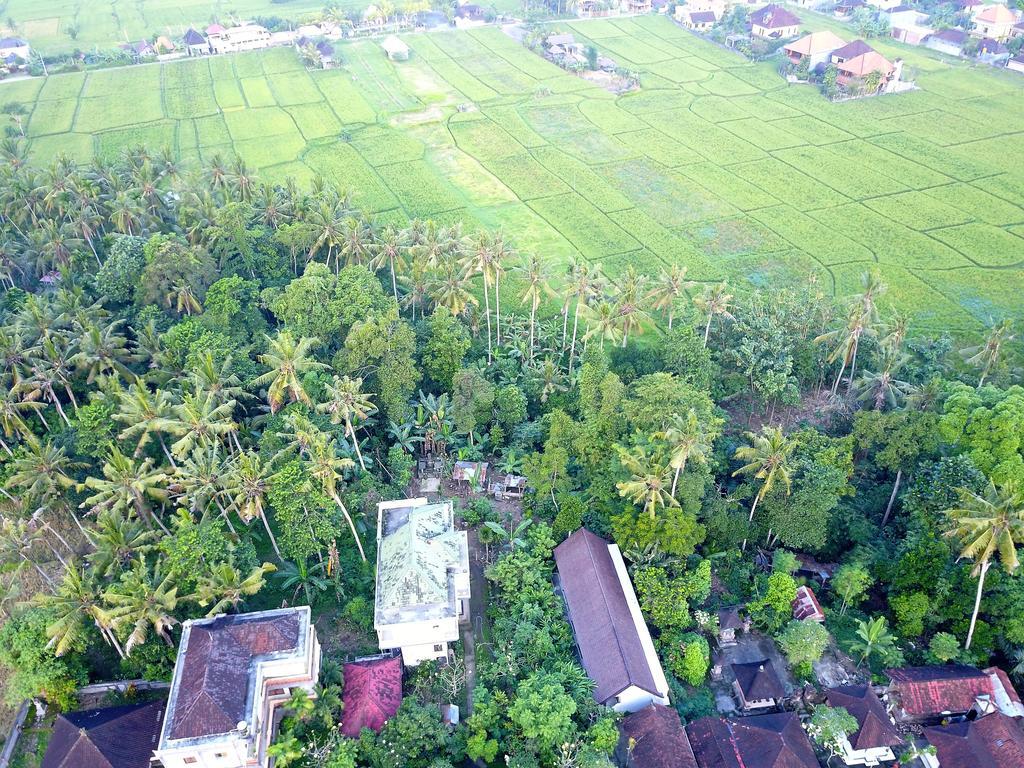 Pangkung Sari Hotel Ubud Exterior foto